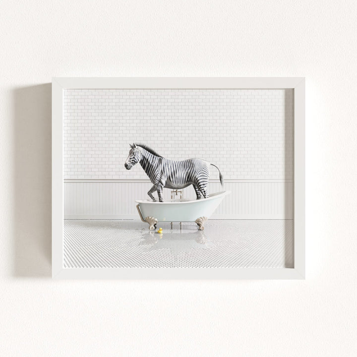 Zebra in Blue Bathtub