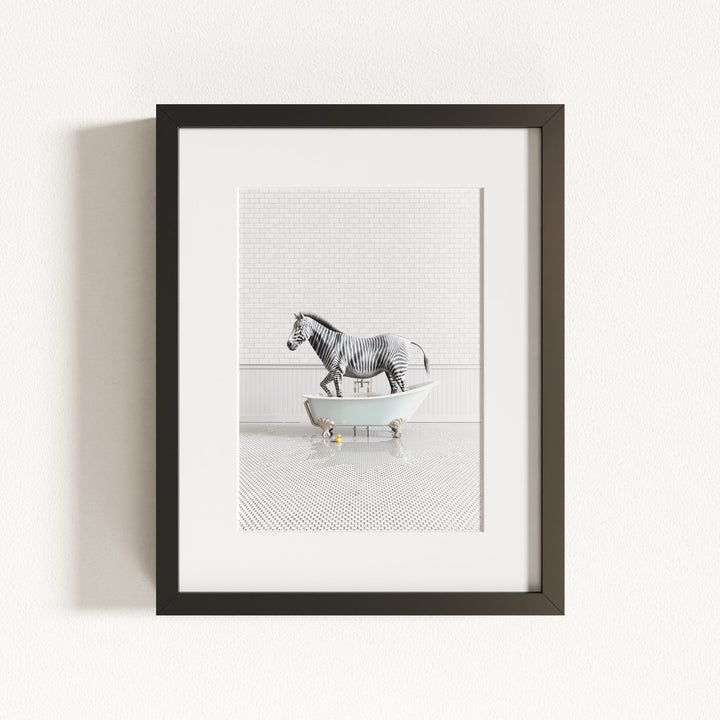 Zebra in Blue Bathtub