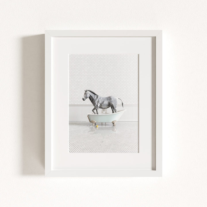 Zebra in Blue Bathtub