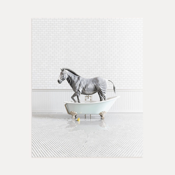 Zebra in Blue Bathtub