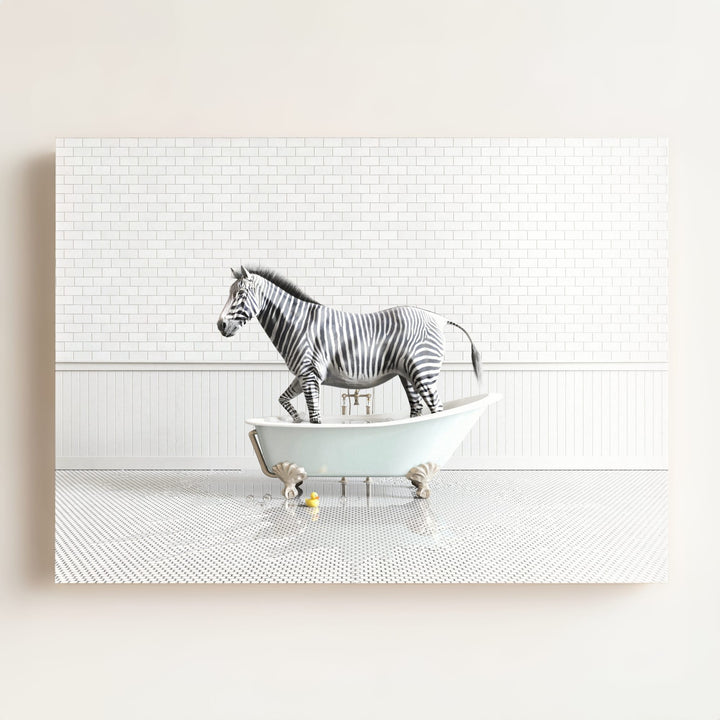 Zebra in Blue Bathtub