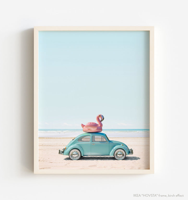 A Beetle and a Flamingo at the Beach