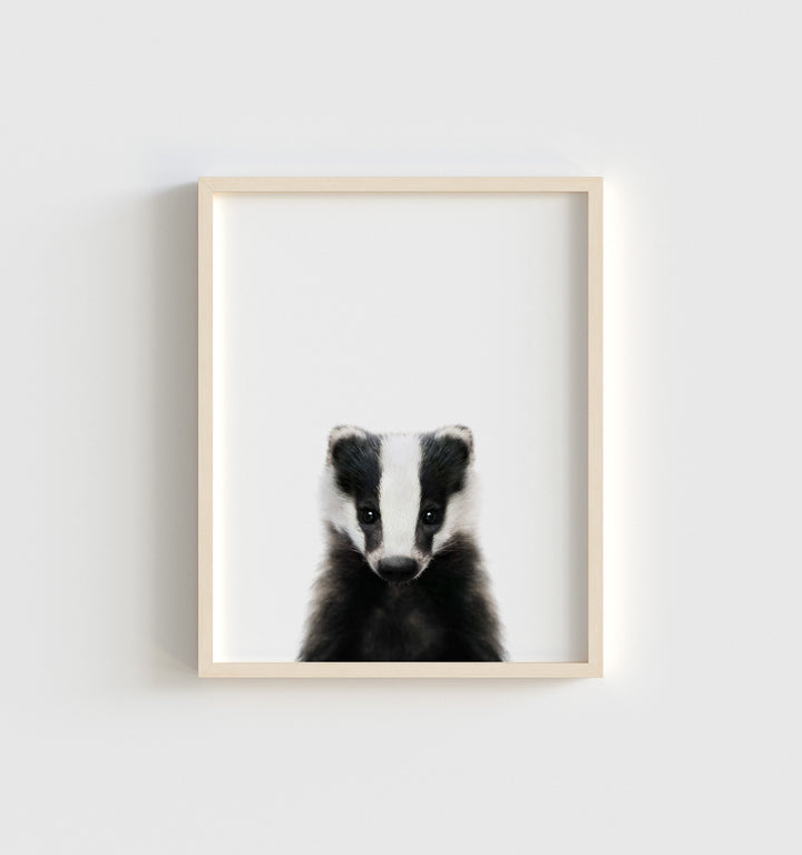 Baby Badger