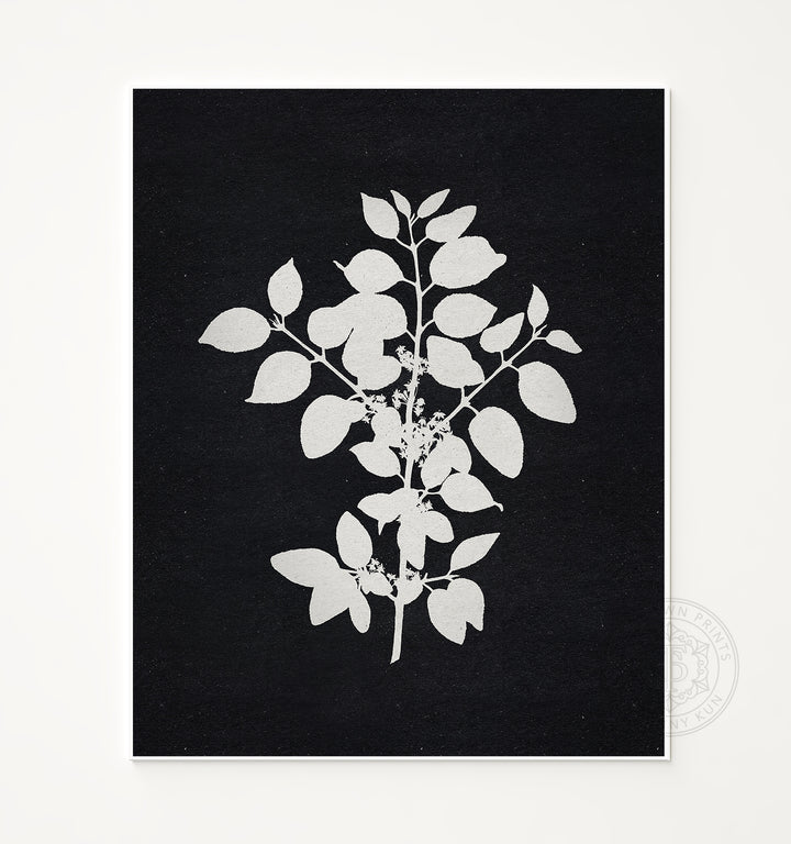 Botanical Silhouette No. 1