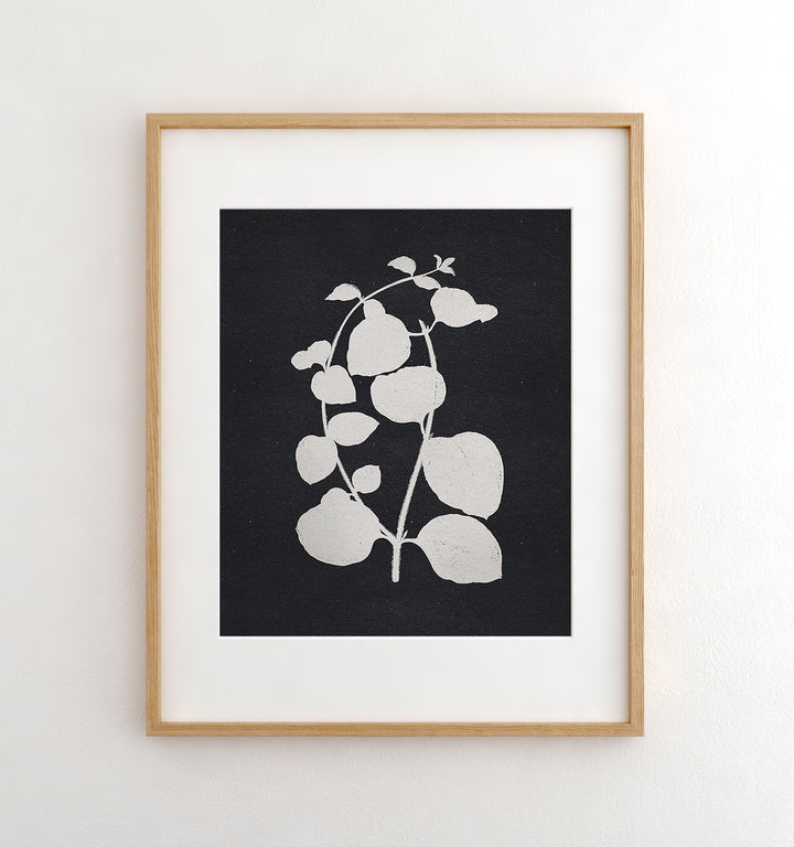 Botanical Silhouette No. 2