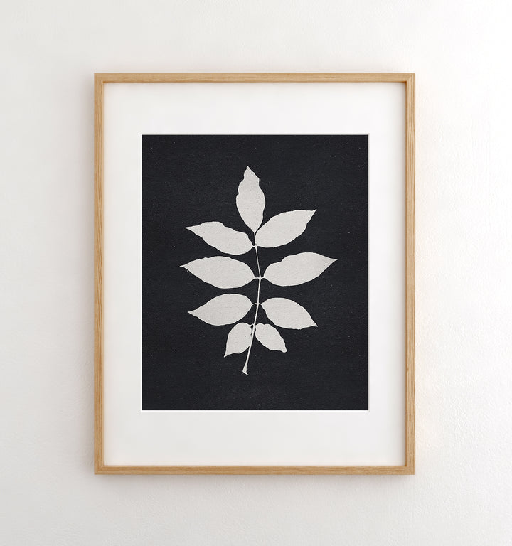 Botanical Silhouette No. 3