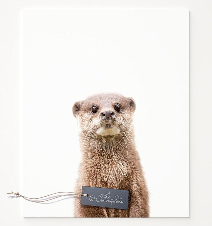 Baby Otter Print - The Crown Prints