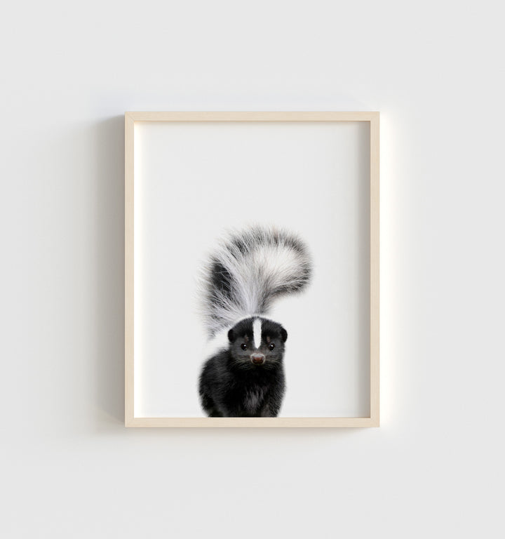 Baby Skunk