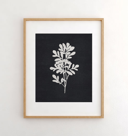 Botanical Silhouette No. 4