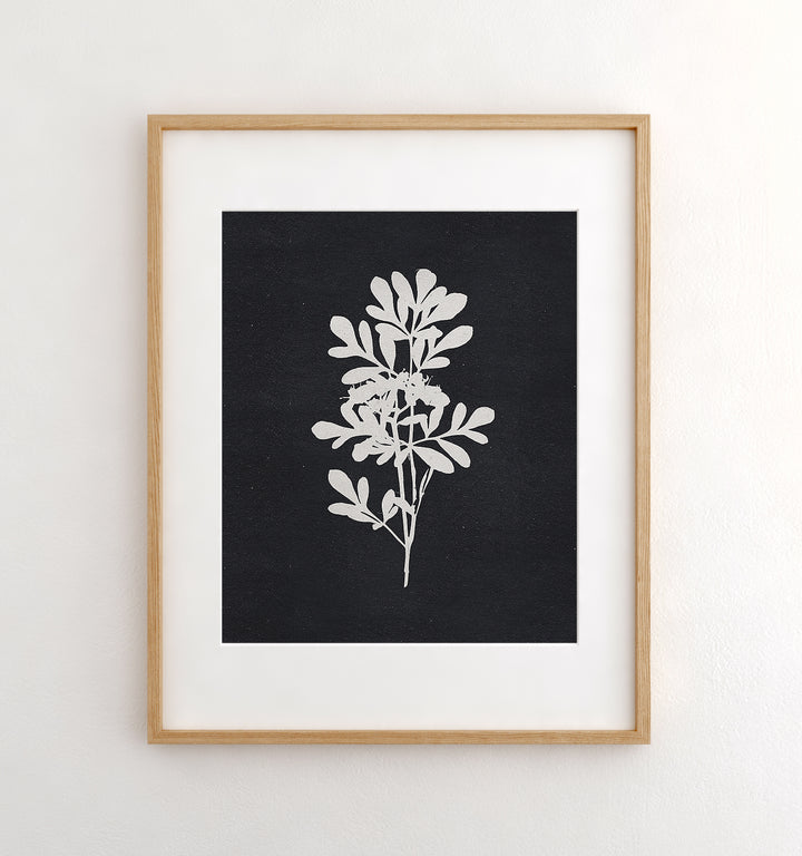 Botanical Silhouette No. 4
