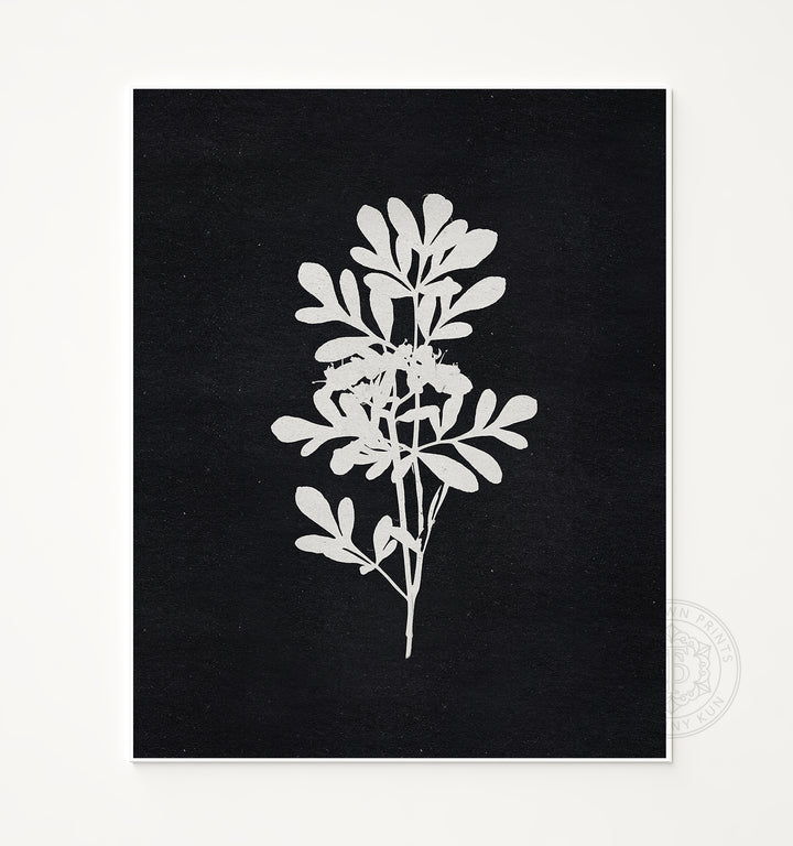 Botanical Silhouette No. 4