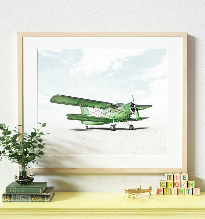 Antonov AN-2 Airplane