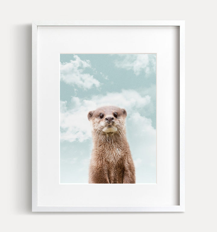 Baby Otter