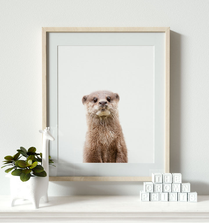 Baby Otter