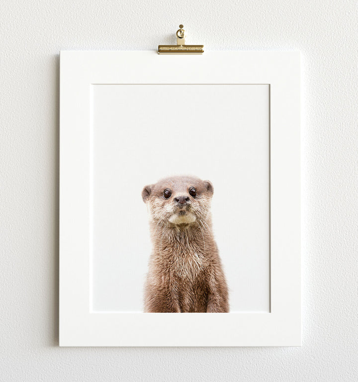 Baby Otter