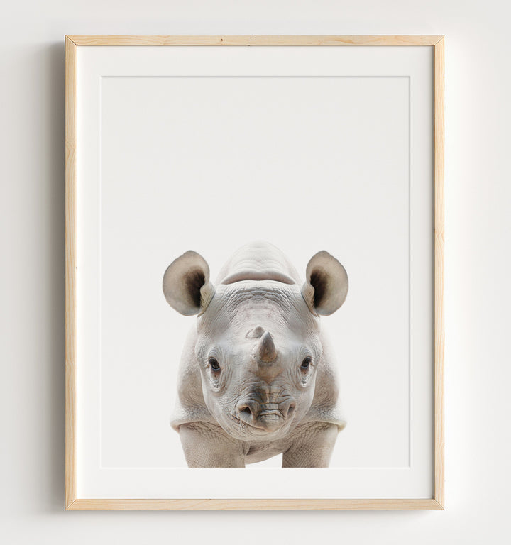 Baby animal art - rhino rhinoceros poster print from The Crown Prints