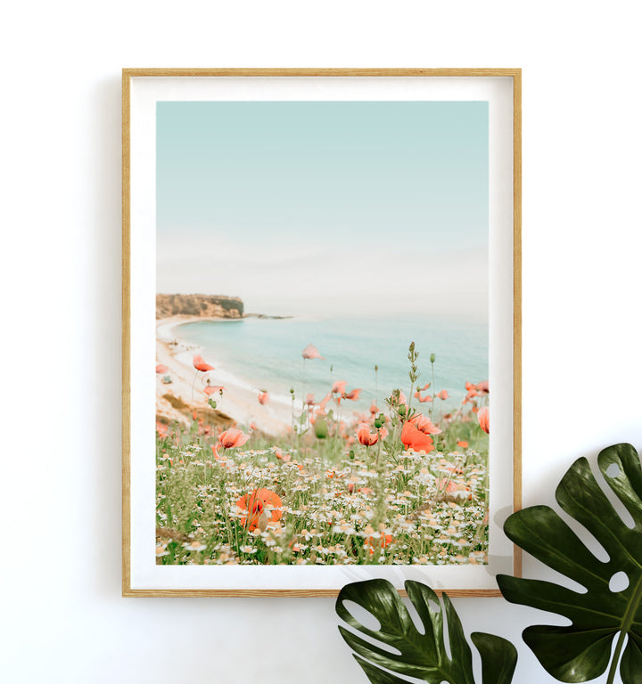 Beach Poppies