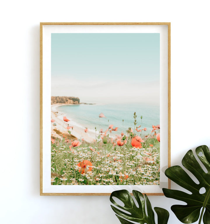Beach Poppies