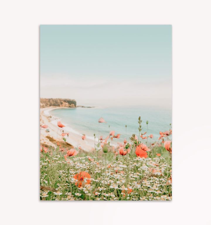 Beach Poppies
