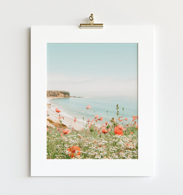 Beach Poppies