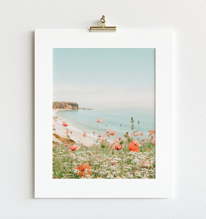 Beach Poppies