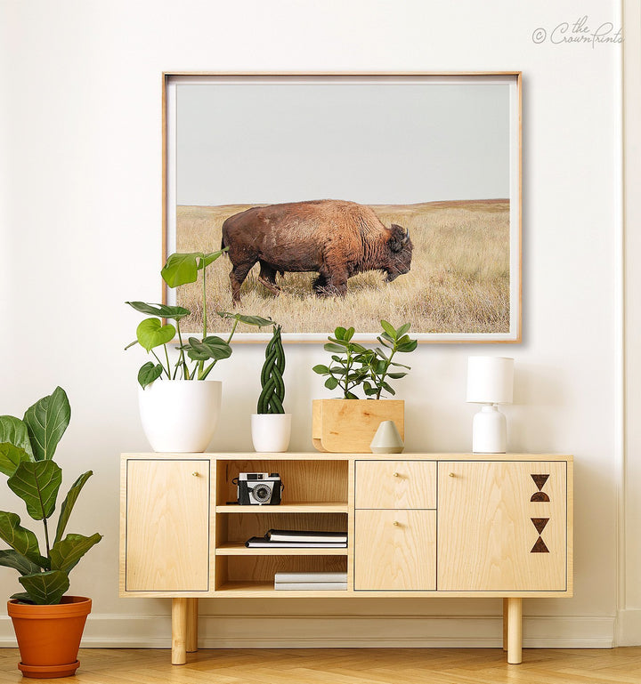 Prairie Bison Print - The Crown Prints