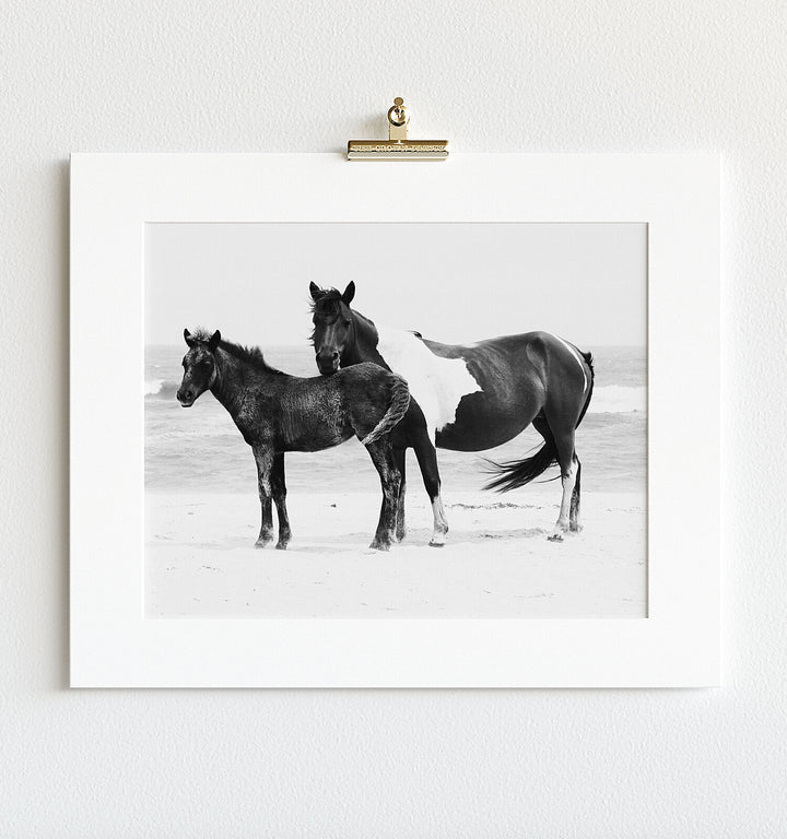 Black & White Mare and Foal