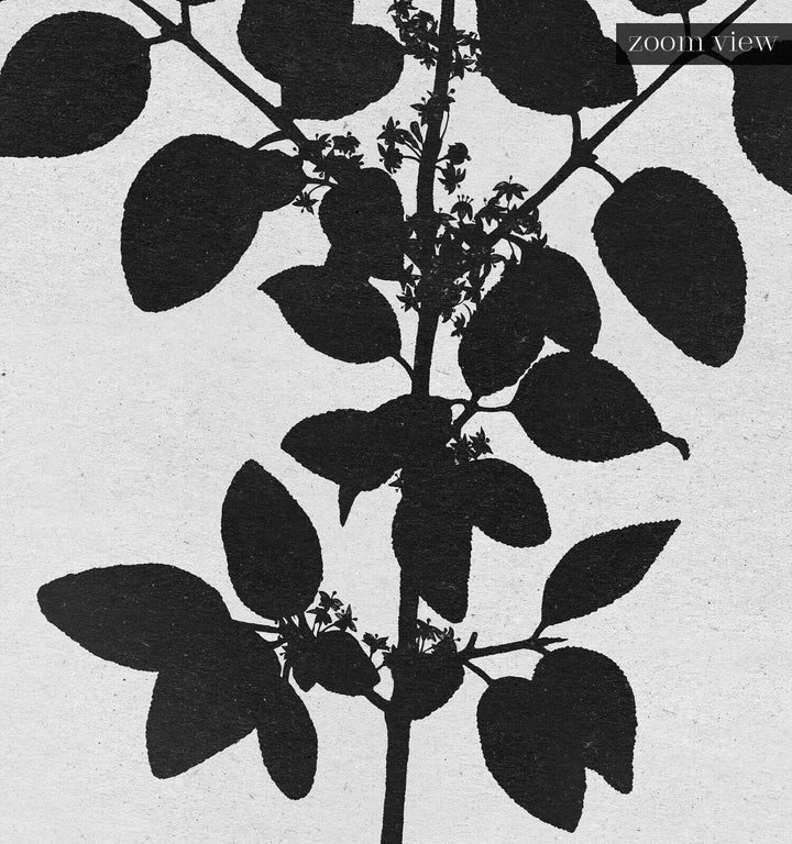 Botanical Silhouette No. 1
