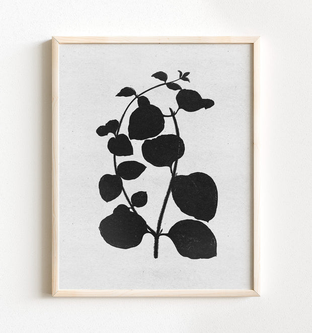 Botanical Silhouette No. 2