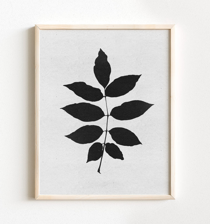 Botanical Silhouette No. 3