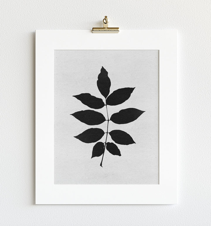 Botanical Silhouette No. 3