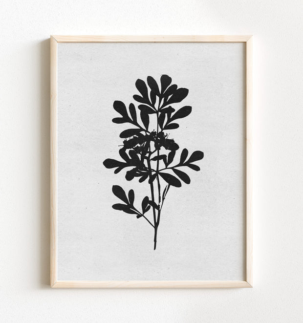 Botanical Silhouette No. 4