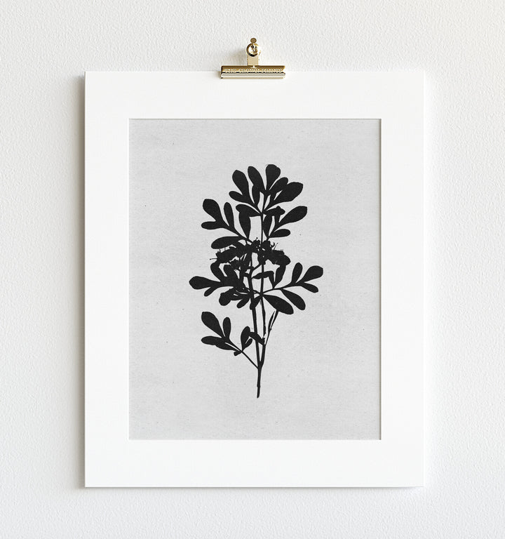 Botanical Silhouette No. 4