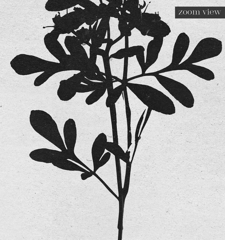 Botanical Silhouette No. 4