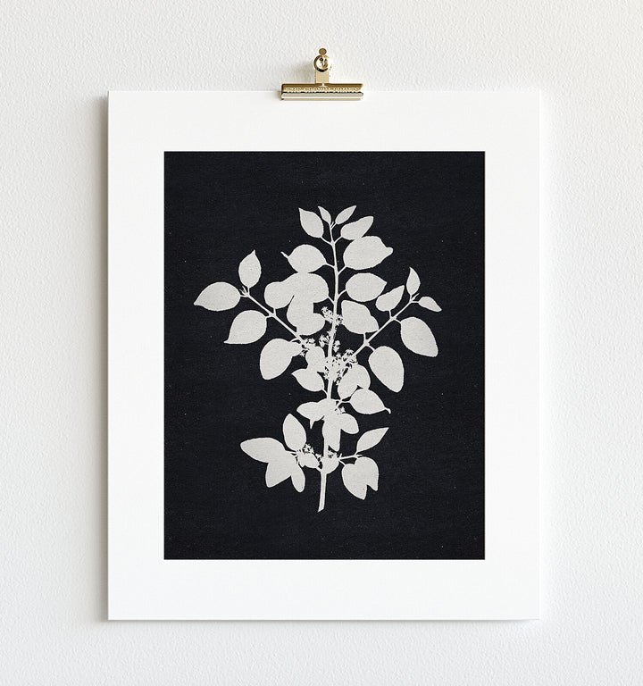 Botanical Silhouette No. 1