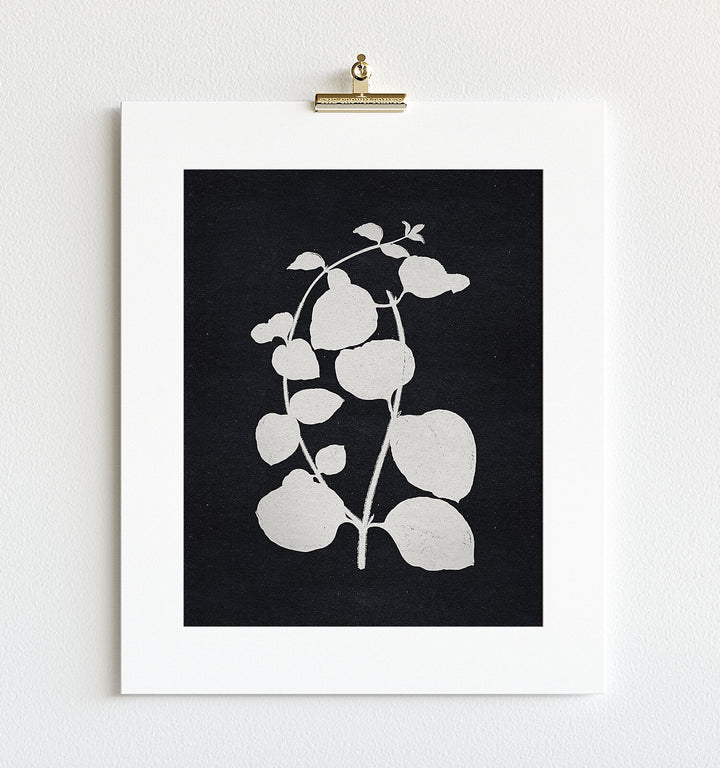 Botanical Silhouette No. 2