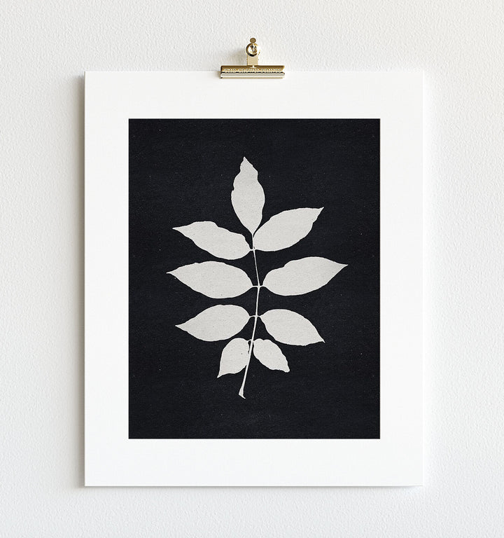 Botanical Silhouette No. 3