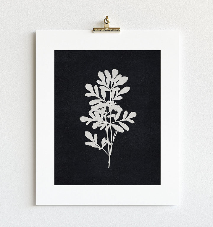 Botanical Silhouette No. 4