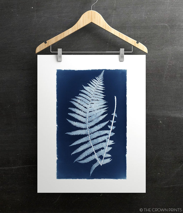 Botanical Cyanotype Print No. 1 - The Crown Prints