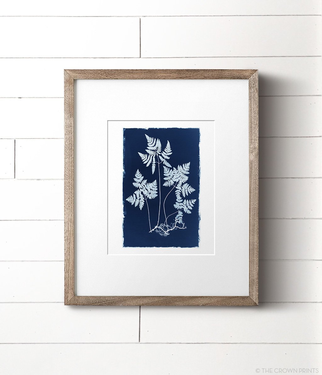 Botanical Cyanotype Print No. 2 - The Crown Prints