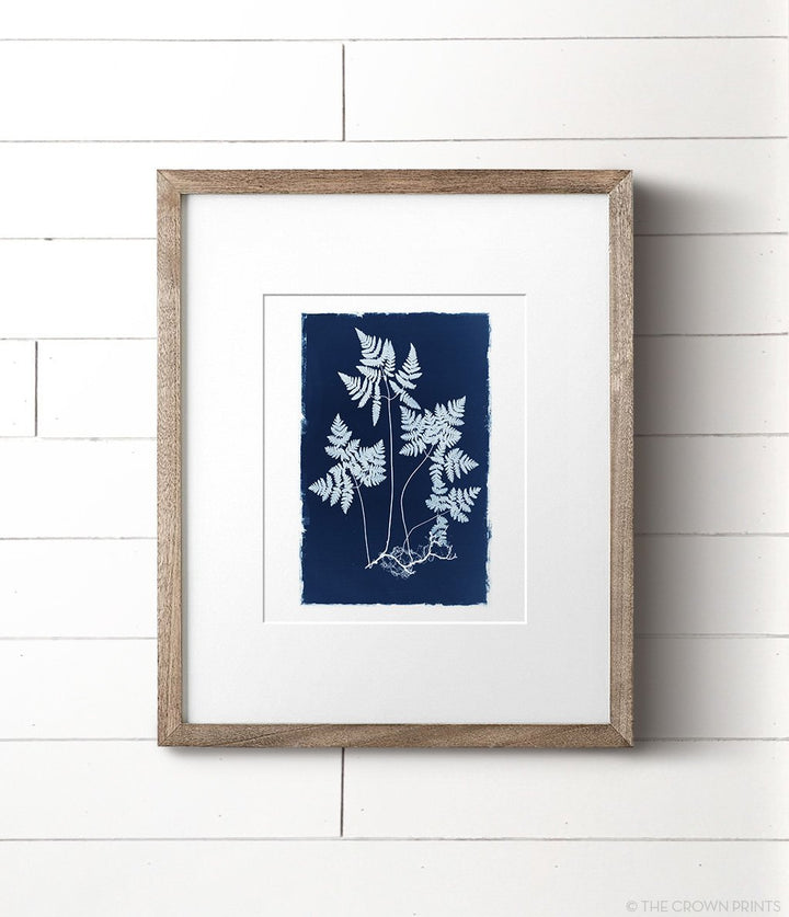 Botanical Cyanotype Print No. 2 - The Crown Prints