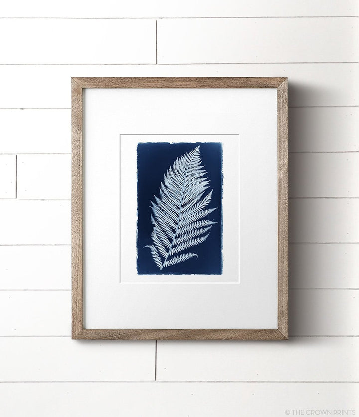Botanical Cyanotype Print No. 3 - The Crown Prints