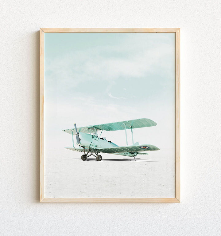 De Havilland Tiger Moth Airplane