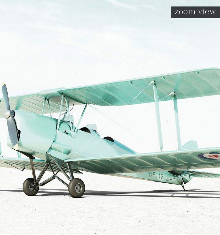 De Havilland Tiger Moth Airplane