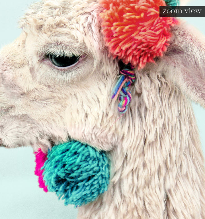 Decorated Llama