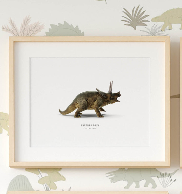 Prehistoric Creatures & Dinosaurs Set of 6 Boy Room Decor Prints