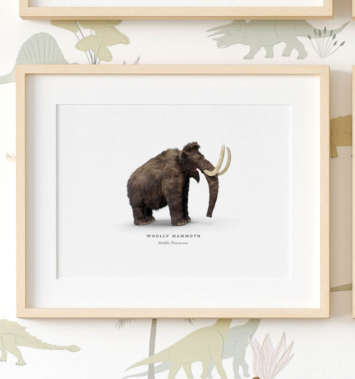 Prehistoric Creatures & Dinosaurs Set of 6 Boy Room Decor Prints