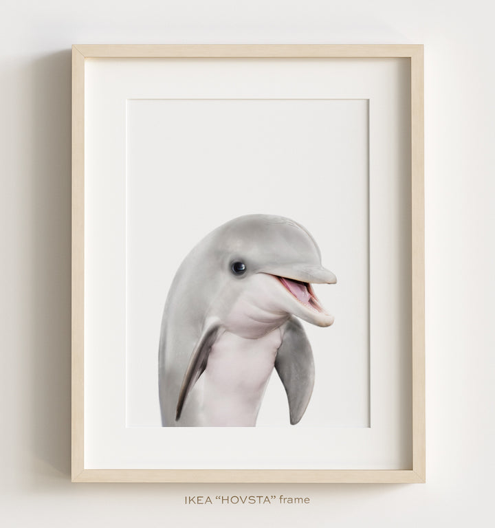 Sea Animals Set of 6 Nursery Decor Art Prints