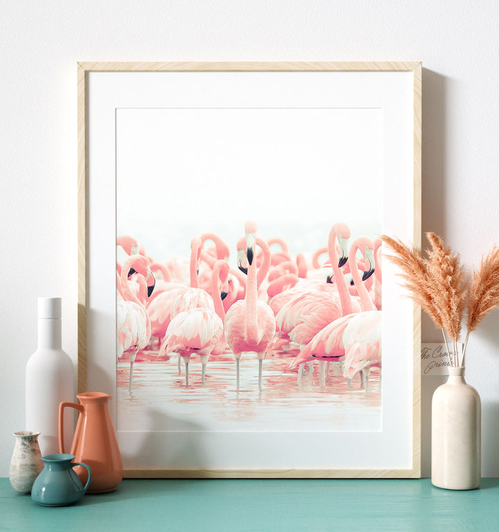 Pink Flamingos