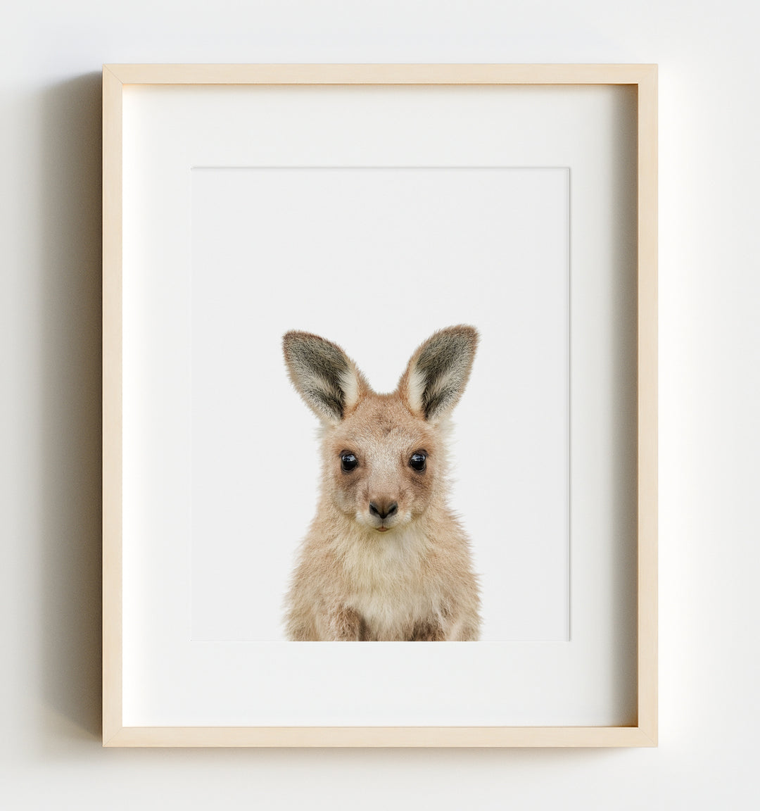 Baby Kangaroo Poster Print - Printables and Prints from our Australian Animals Collection